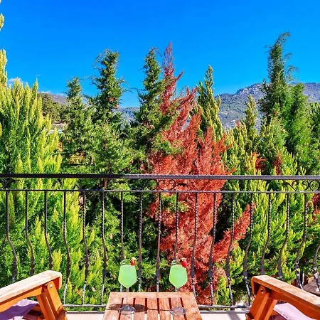 İslamlar 3 Bedroom With Private Pool Villa